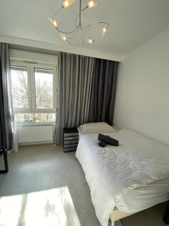 Nancy Hyper Centre, Chambre Prive Chez L'Habitant En Colocation Exterior photo