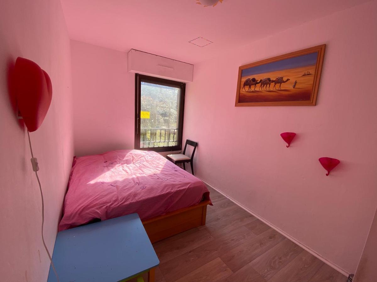 Nancy Hyper Centre, Chambre Prive Chez L'Habitant En Colocation Exterior photo