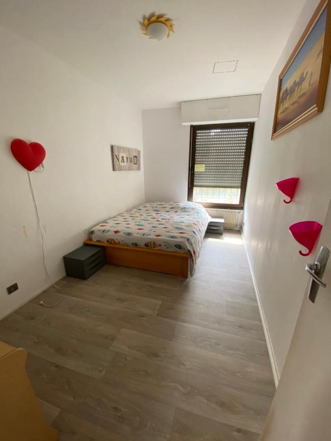Nancy Hyper Centre, Chambre Prive Chez L'Habitant En Colocation Exterior photo