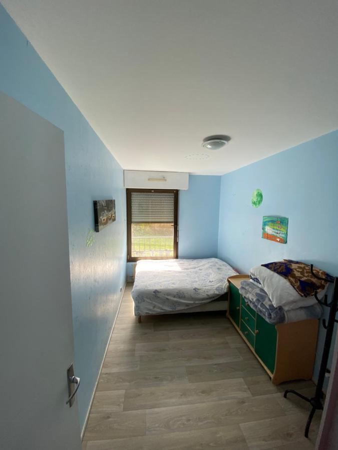 Nancy Hyper Centre, Chambre Prive Chez L'Habitant En Colocation Exterior photo